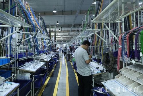 協(xié)同發(fā)展譜新篇丨數(shù)智賦能 產(chǎn)業(yè)筑基 廊坊在京津冀協(xié)同中打造增長(zhǎng)新引擎